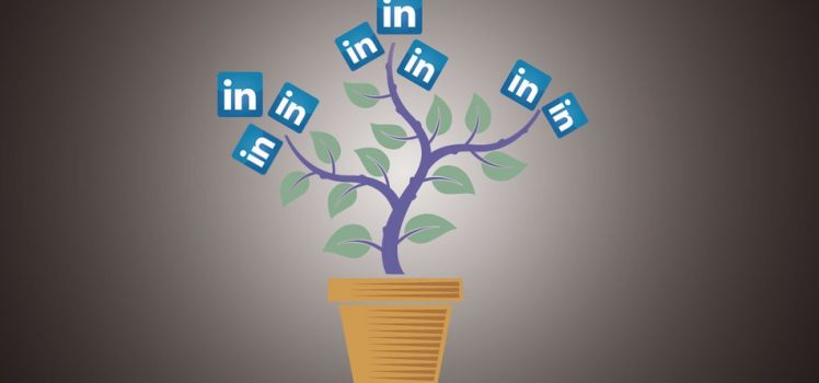 linkedin-network-748x350-1.jpg